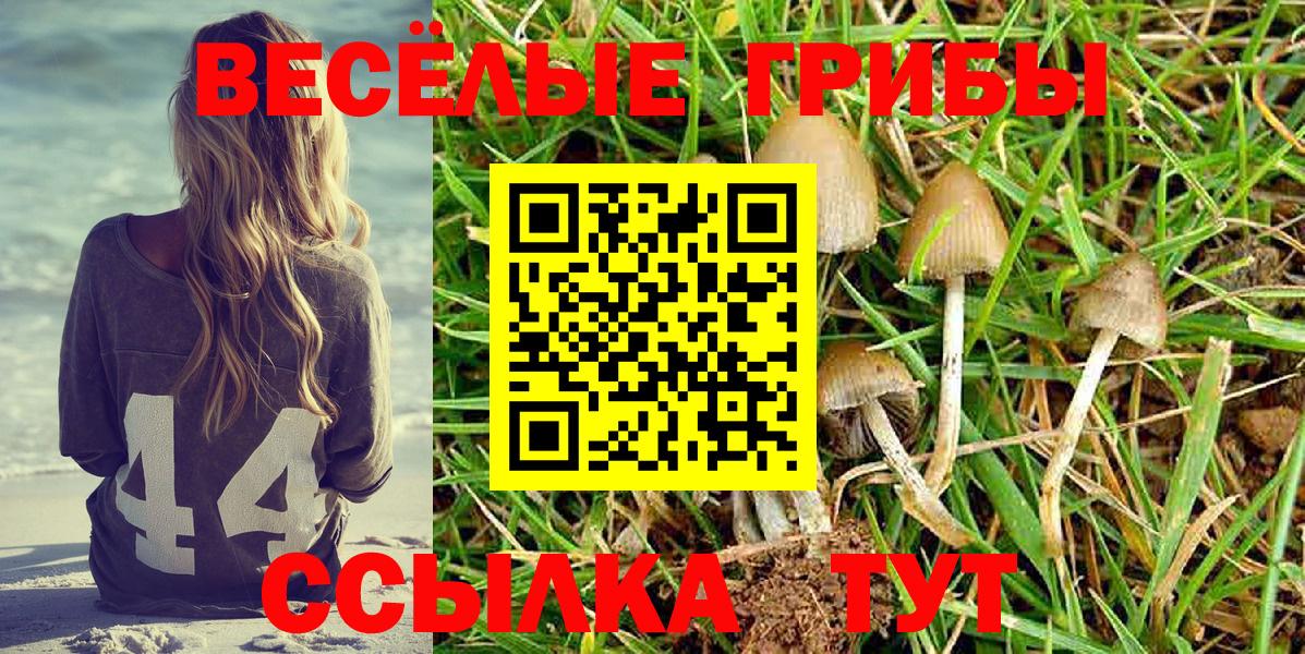 Псилоцибиновые грибы ЛСД Черногорск